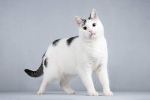 ������� �������� ���� ������ ������.