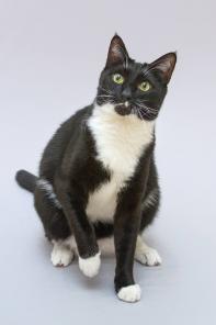 ��� ������� ���� ���� �����.