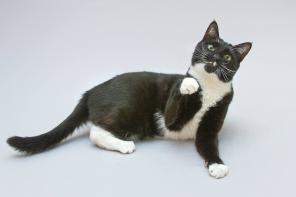 ��� ������� ���� ���� �����.