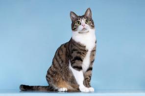 ������� ����� ���� ������ ������.