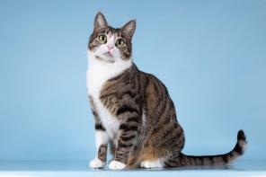 ������� ����� ���� ������ ������.