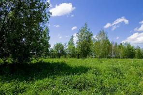Продается участок в охраняемом КП по Калужскому ш., Воробьи.