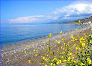 Отдых в Крыму, у моря - дома, квартиры, гостиницы, пансионаты, санатории