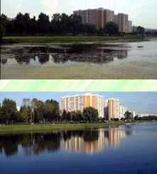 Очистка прудов, рек и водоемов