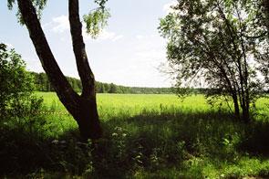  12      .