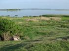 Участок у самой воды р.Дон, 17 соток и 2 дома