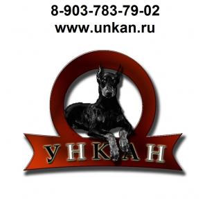 ЗАПЧАСТИ для ИНОМАРОК в НАЛИЧИИ ДОСТАВКА 89037837902