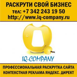Раскрутка сайтов в перми на первое место в яндексе.