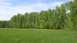 Участок в ДНТ