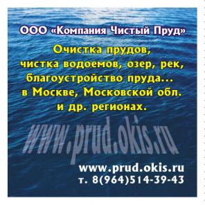 Очистка пруда Очистка водоёма рек.