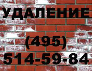 �������� �������