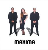 Музыканты на свадьбу. Москва, подмосковье