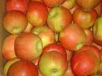 Продам польские яблоки