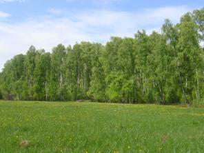 10 соток в Серпуховском р-не