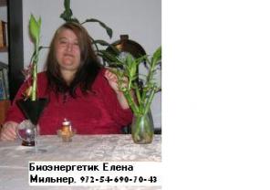 Консультации биоэнергетика Елены Мильнер