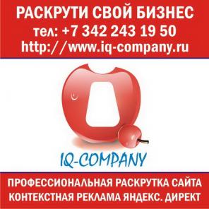 Оптимизация сайта и его раскрутка в интернете