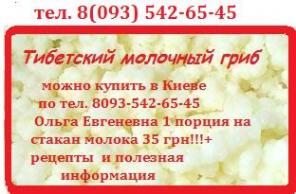 Тибетский молочный гриб