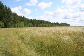 Продаются участки в Клепиковском р-не Рязанской области. 195км. от МКАД. От 5 до 100 Га. От 250руб./сотка.