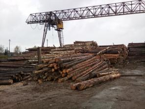 Поставки пиловочника хвойных пород ГОСТ 9463-88 1-2 с., от заготовителя.