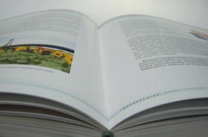 Помогу издать книгу