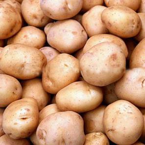 Картофель лучших сортов