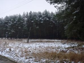 Участок 12, 15, 20 соток 75 км от МКАД по Дмитровке
