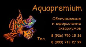Обслуживание аквариумов