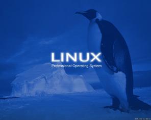 Установка операционных систем Linux.