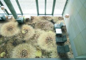 ���������� ���� � ������������ �������