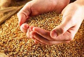 Продажа кормов и кормовых добавок