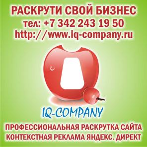 Ай Кью Компани профессиональная раскрутка сайтов в интернете
