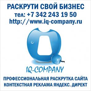 Раскрутка сайта в перми