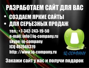 Ай Кью Компани г. Пермь