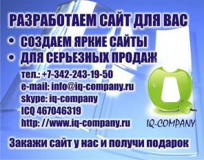 Разработка и раскрутка сайтов от компании Ай Кью Компани г. Пермь