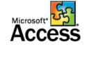  Microsoft Access      