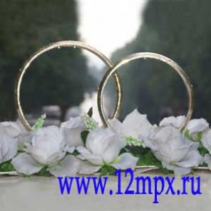 Услуги фотографа фотограф на свадьбу