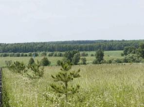 Продам участок 30 соток 95 км по киевскому шоссе