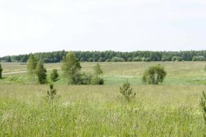 Продам участок 30 соток 95 км по киевскому шоссе