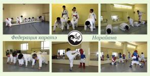 Каратэ детям и взрослым (Сао, Парк Победы)
