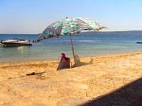 Недвижимость в Крыму