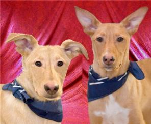 ����� ����������� ��������-�������!