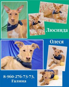 ����� ����������� ��������-�������!