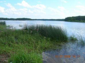 Продам дом (дачу) на берегу реки Ухра, Ярославская обл.