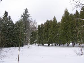 Недорогие участки в Курортном районе С-Пб.