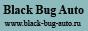 Black Bug