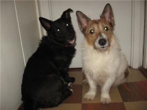 ����������� ���� �������������� �������� ���� ������ ��� � ������������ ������.