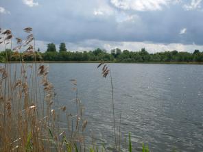 Продаю дом с земельными участками