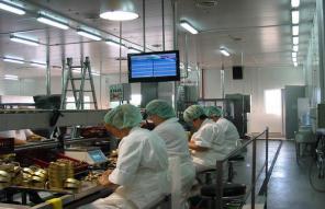 Система оперативного учета выпуска консервной продукции на участке укладки шпрот.