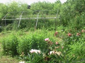 ��� 111 ��.�., �� �������������� ����� 130 �� �� ����