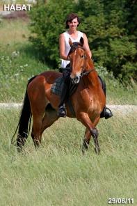 лошадь на продажу, мерин НАБАТ 2002 г.р.